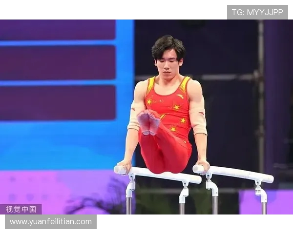 张博恒谈对体操艺术的披荆斩